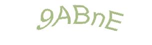 عبارت امنیتی