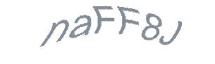 عبارت امنیتی