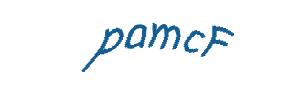 عبارت امنیتی