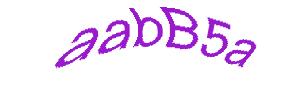 عبارت امنیتی