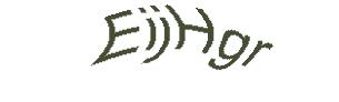 عبارت امنیتی