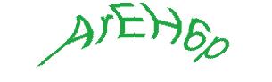 عبارت امنیتی