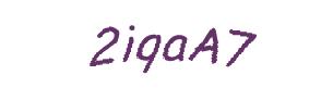 عبارت امنیتی
