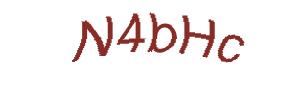 عبارت امنیتی