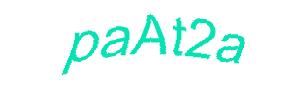 عبارت امنیتی
