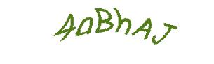 عبارت امنیتی