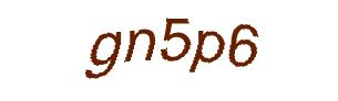 عبارت امنیتی