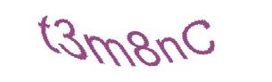 عبارت امنیتی