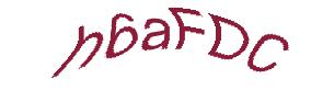 عبارت امنیتی
