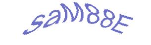 عبارت امنیتی