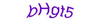 عبارت امنیتی