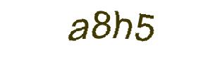 عبارت امنیتی