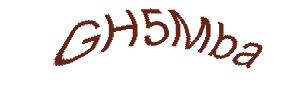 عبارت امنیتی