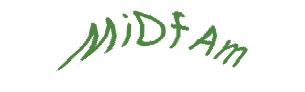 عبارت امنیتی