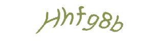عبارت امنیتی