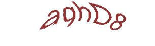 عبارت امنیتی