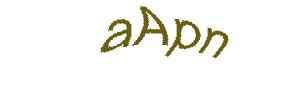 عبارت امنیتی