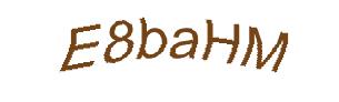 عبارت امنیتی