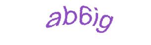 عبارت امنیتی