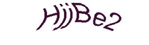 عبارت امنیتی