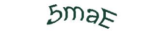 عبارت امنیتی