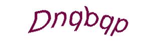 عبارت امنیتی
