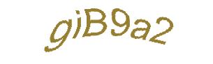 عبارت امنیتی