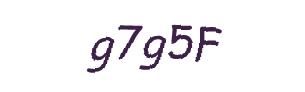 عبارت امنیتی