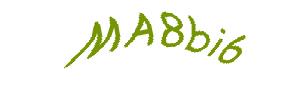 عبارت امنیتی