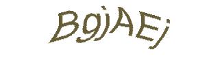 عبارت امنیتی