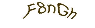 عبارت امنیتی