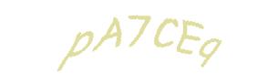 عبارت امنیتی