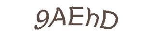 عبارت امنیتی