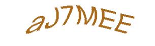 عبارت امنیتی