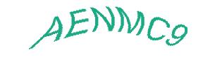 عبارت امنیتی