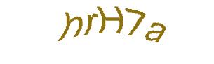 عبارت امنیتی