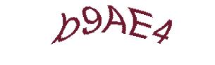 عبارت امنیتی