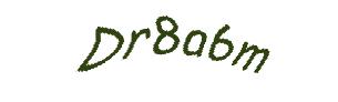 عبارت امنیتی