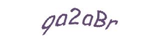 عبارت امنیتی