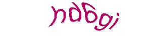 عبارت امنیتی