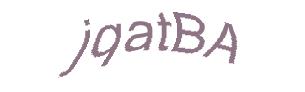 عبارت امنیتی
