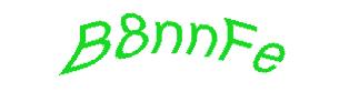 عبارت امنیتی