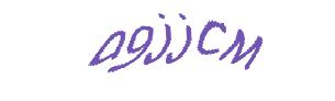 عبارت امنیتی