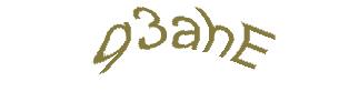 عبارت امنیتی