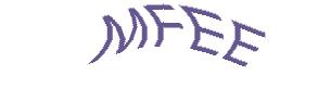 عبارت امنیتی