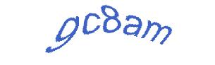 عبارت امنیتی