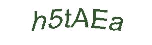عبارت امنیتی