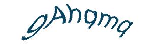 عبارت امنیتی