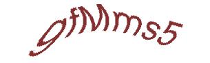 عبارت امنیتی