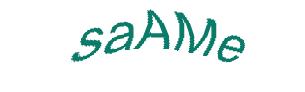 عبارت امنیتی